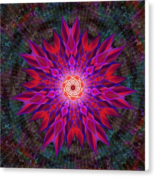 After the Rain Mandala - Canvas Print