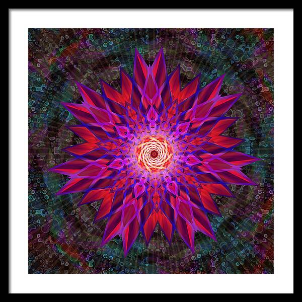 After the Rain Mandala - Framed Print
