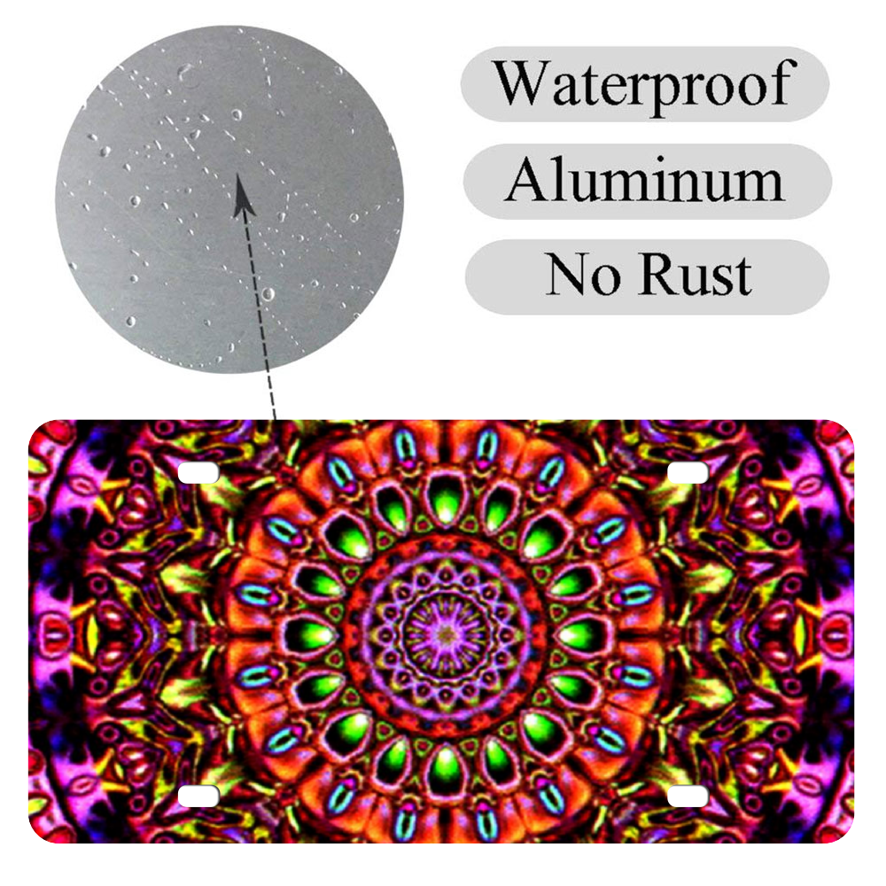 Blurform Aluminum License Plate