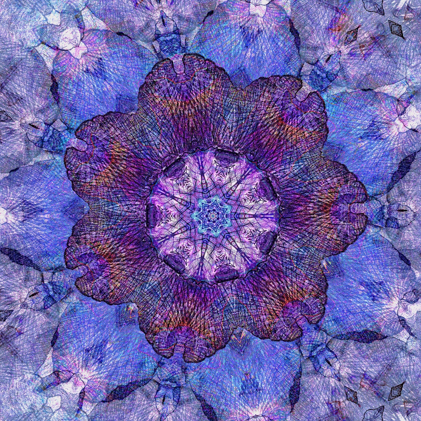 Water Iris