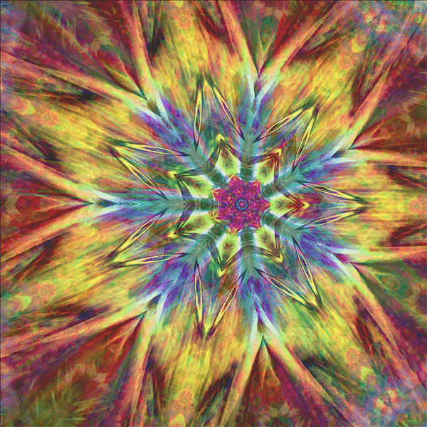 Cone Flower
