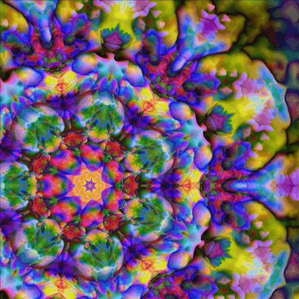 Dahlia