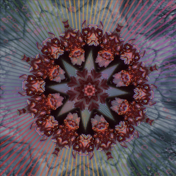 Flower Swirls