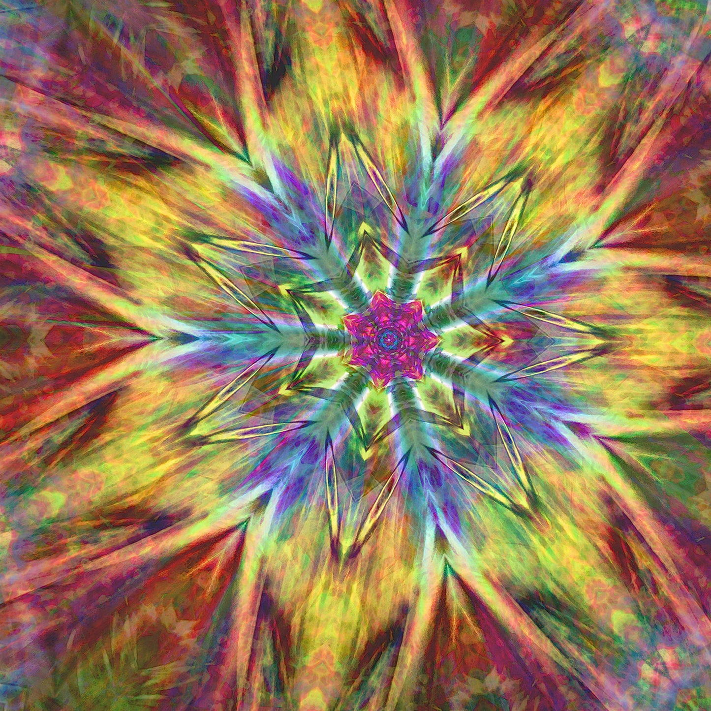 Cone Flower
