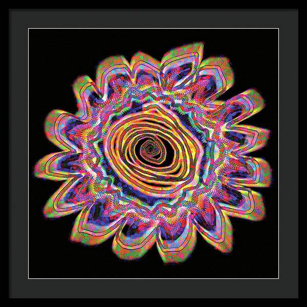 Daisy - Framed Print