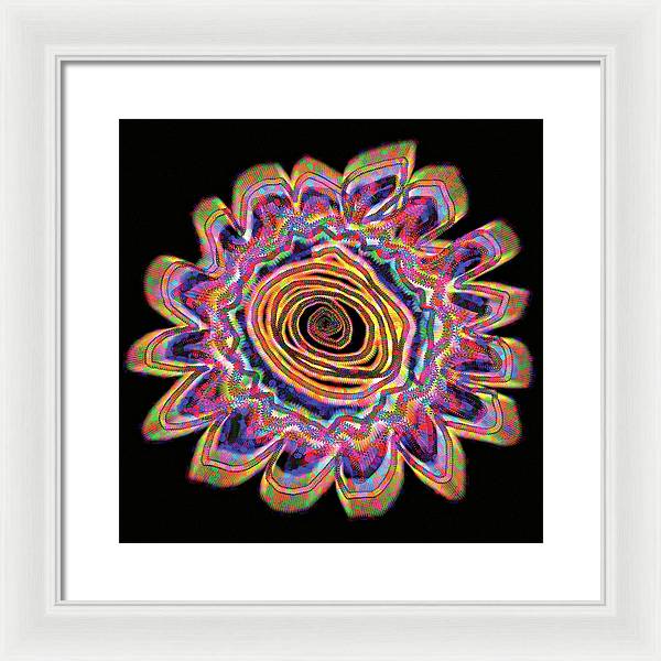 Daisy - Framed Print
