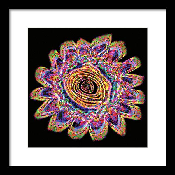 Daisy - Framed Print