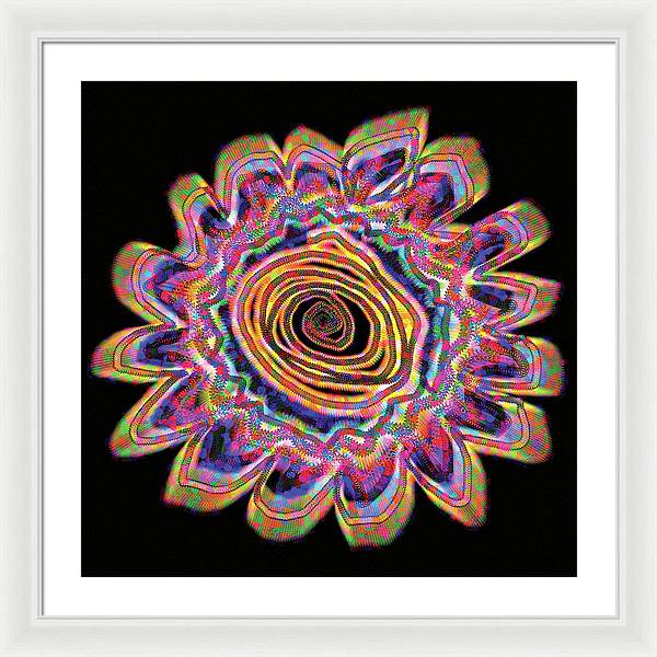 Daisy - Framed Print