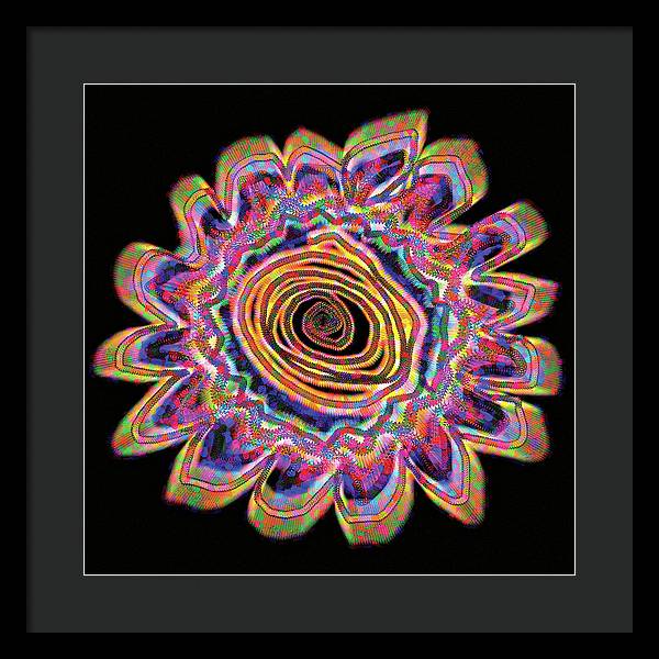 Daisy - Framed Print