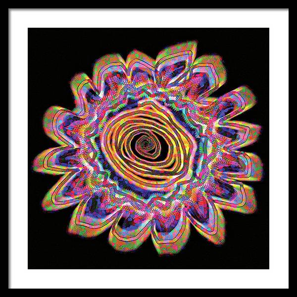 Daisy - Framed Print