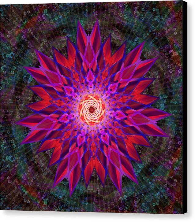 After the Rain Mandala - Canvas Print