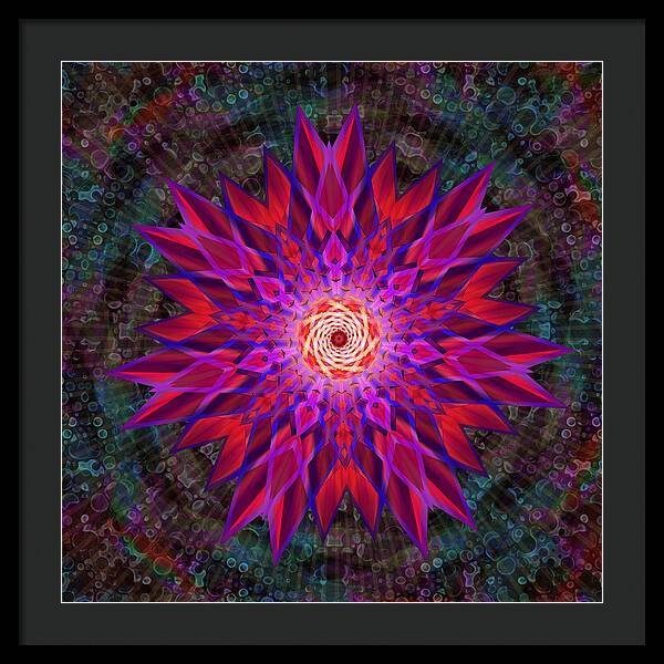 After the Rain Mandala - Framed Print