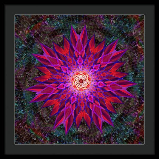 After the Rain Mandala - Framed Print
