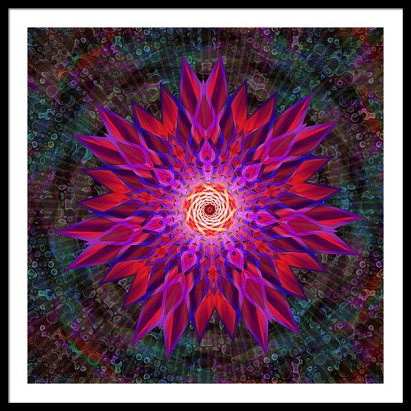 After the Rain Mandala - Framed Print