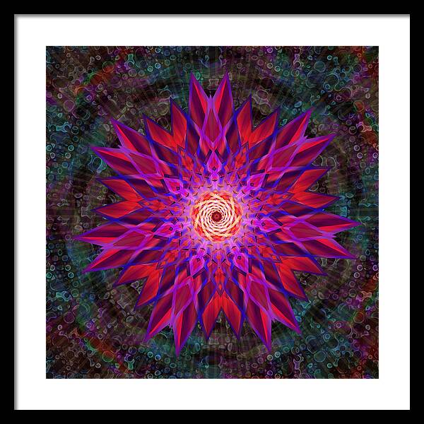 After the Rain Mandala - Framed Print