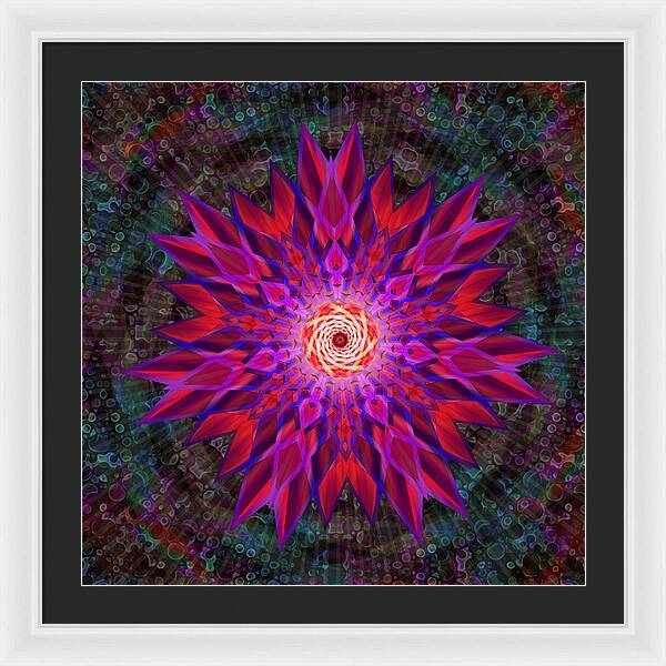 After the Rain Mandala - Framed Print