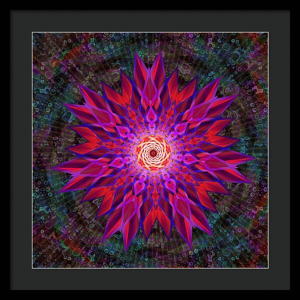 After the Rain Mandala - Framed Print