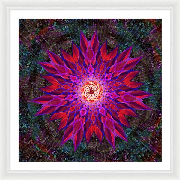 After the Rain Mandala - Framed Print