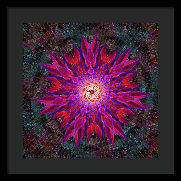 After the Rain Mandala - Framed Print