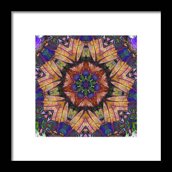 Butterfly Mandala - Framed Print
