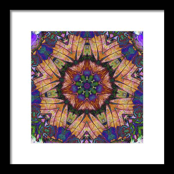 Butterfly Mandala - Framed Print