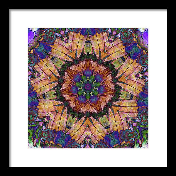 Butterfly Mandala - Framed Print