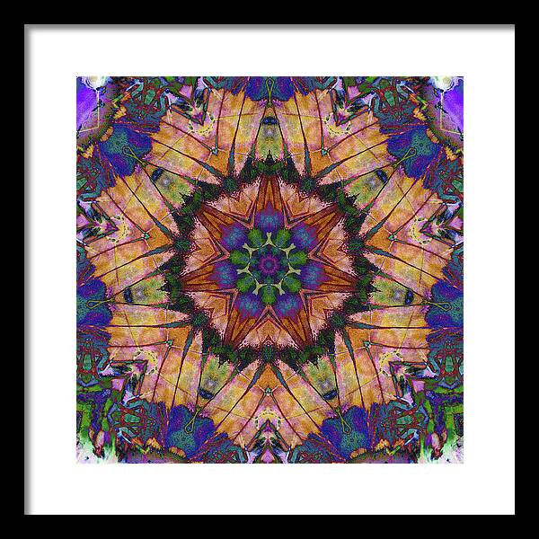 Butterfly Mandala - Framed Print