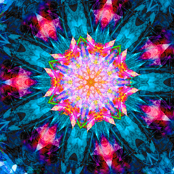 Clematis Open Edition Lenticular Print