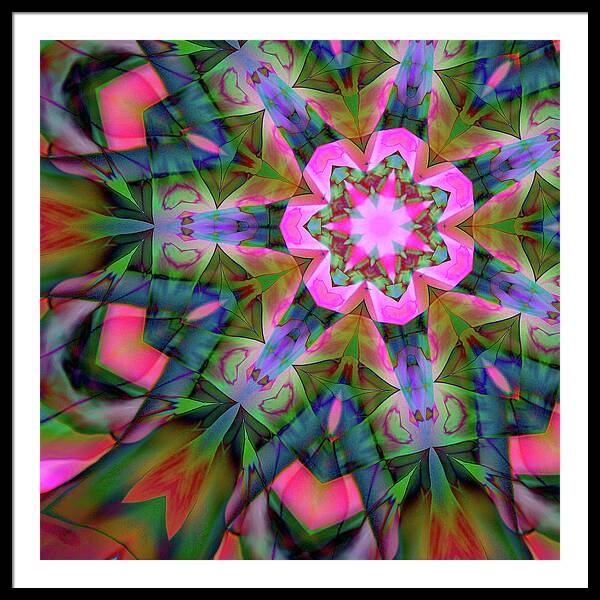 Pink Geranium Mandala - Framed Print