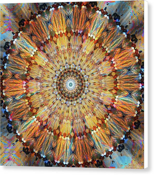 Sunday Ceiling - Canvas Print