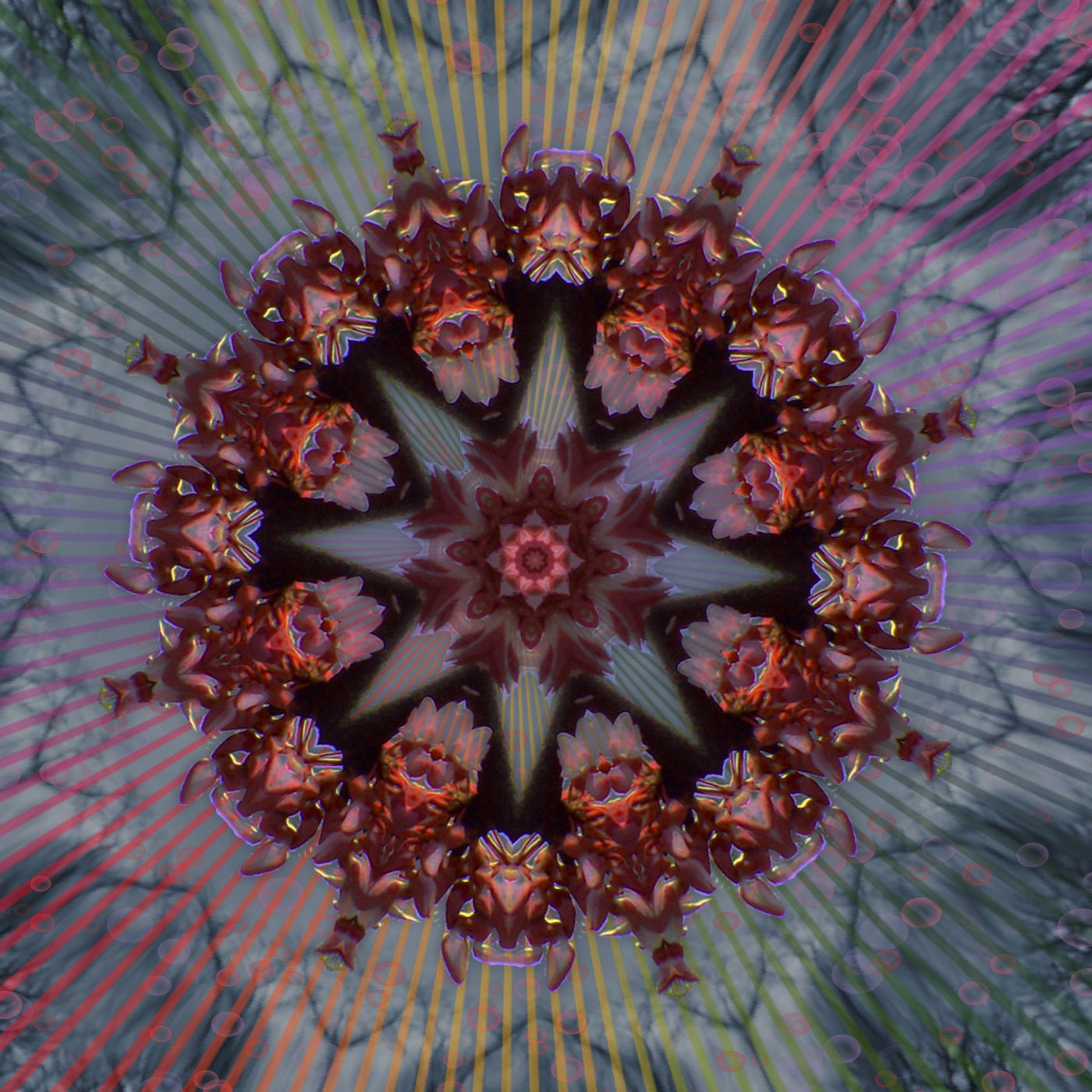 Flower Swirls