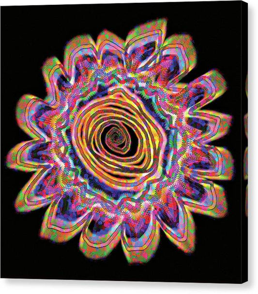 Daisy - Canvas Print