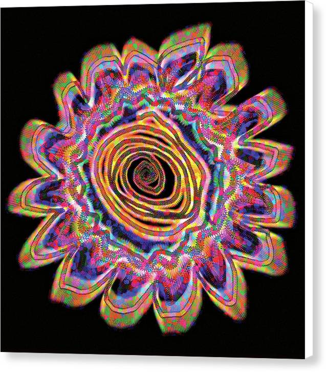 Daisy - Canvas Print