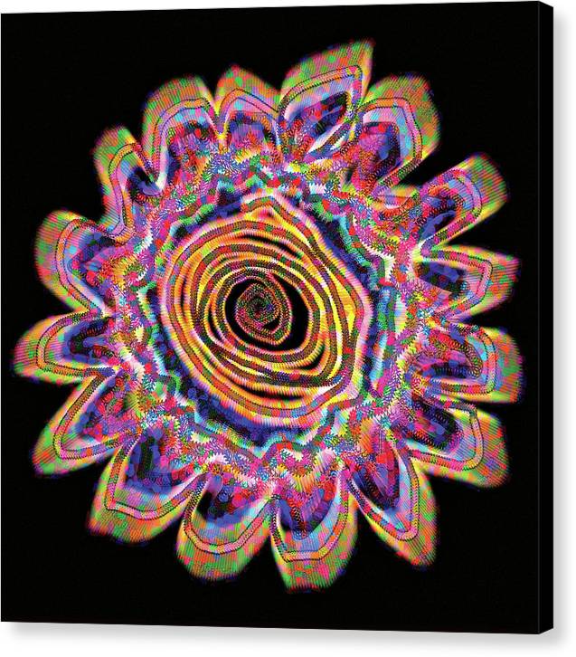 Daisy - Canvas Print