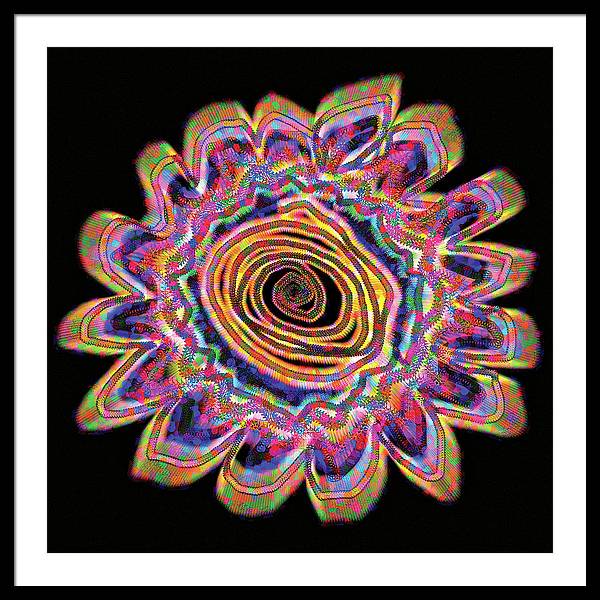 Daisy - Framed Print