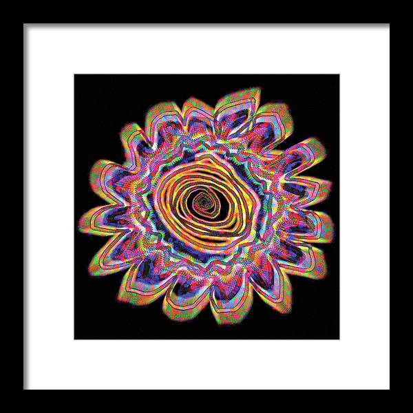 Daisy - Framed Print