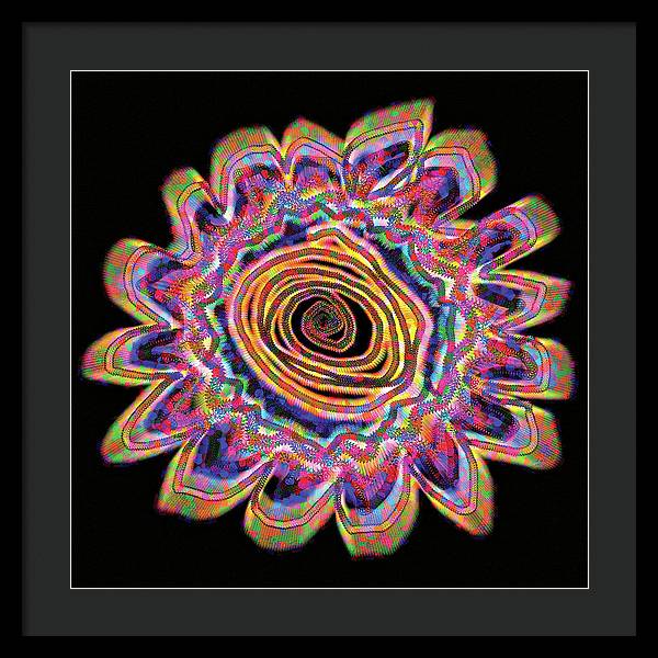 Daisy - Framed Print