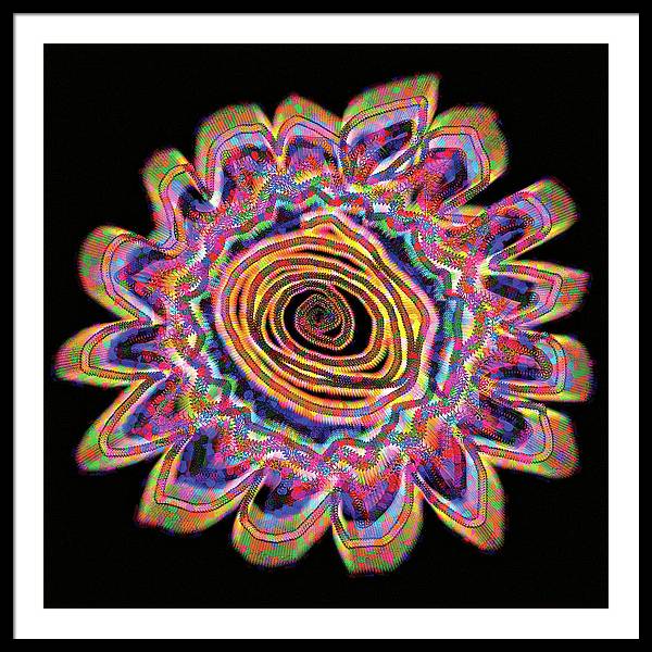 Daisy - Framed Print
