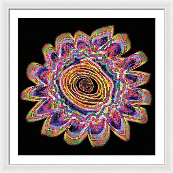 Daisy - Framed Print
