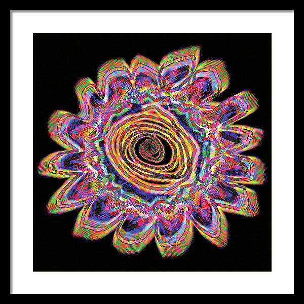 Daisy - Framed Print