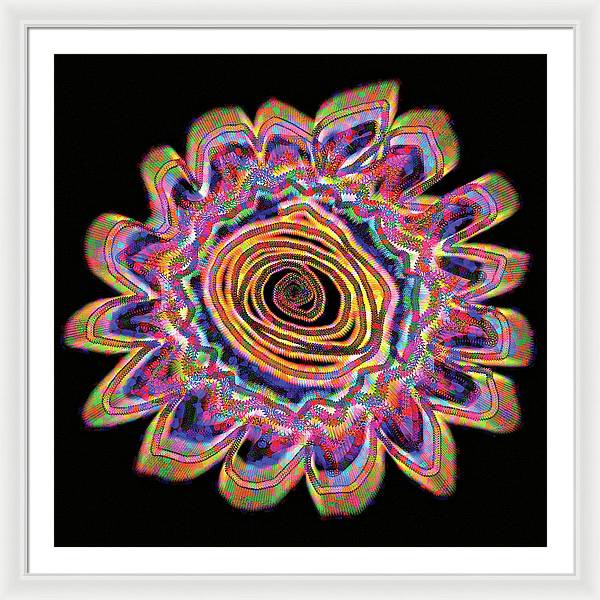Daisy - Framed Print