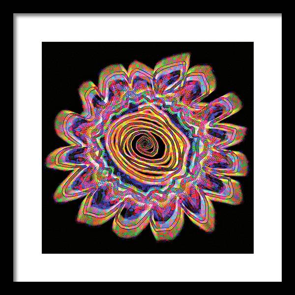 Daisy - Framed Print