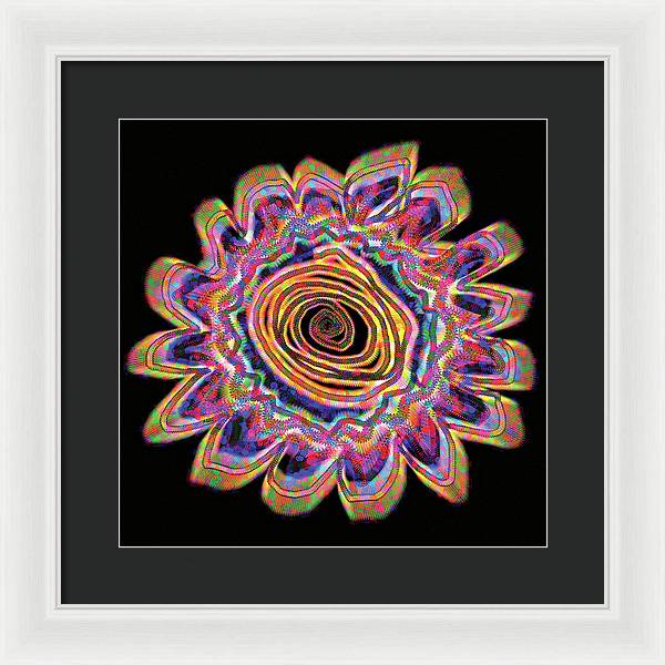Daisy - Framed Print