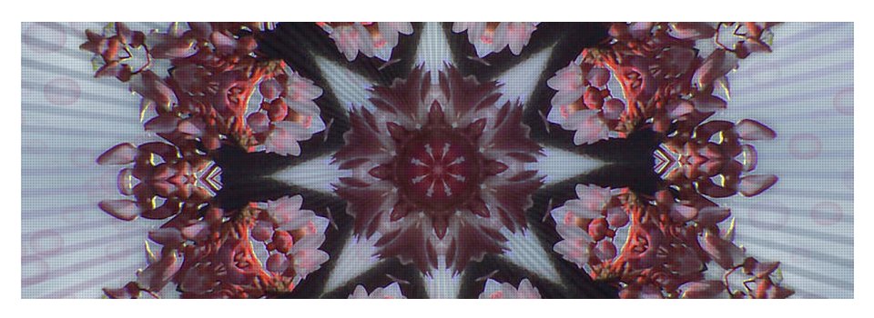 Flower Swirl - Yoga Mat