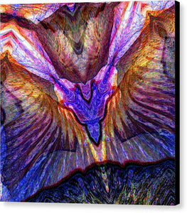 Iris - Canvas Print