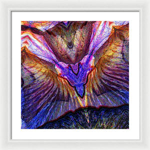 Iris - Framed Print