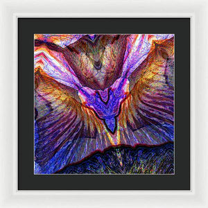 Iris - Framed Print