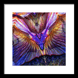 Iris - Framed Print