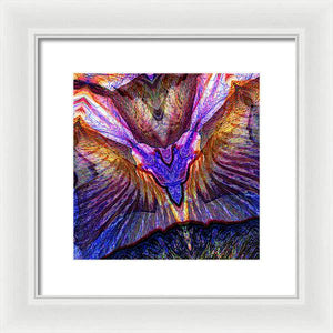 Iris - Framed Print