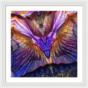 Iris - Framed Print